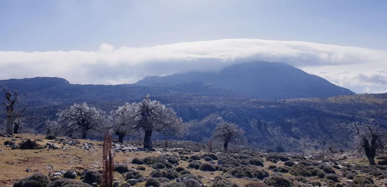 Hotel Sierra Hidalga Ronda Dış mekan fotoğraf