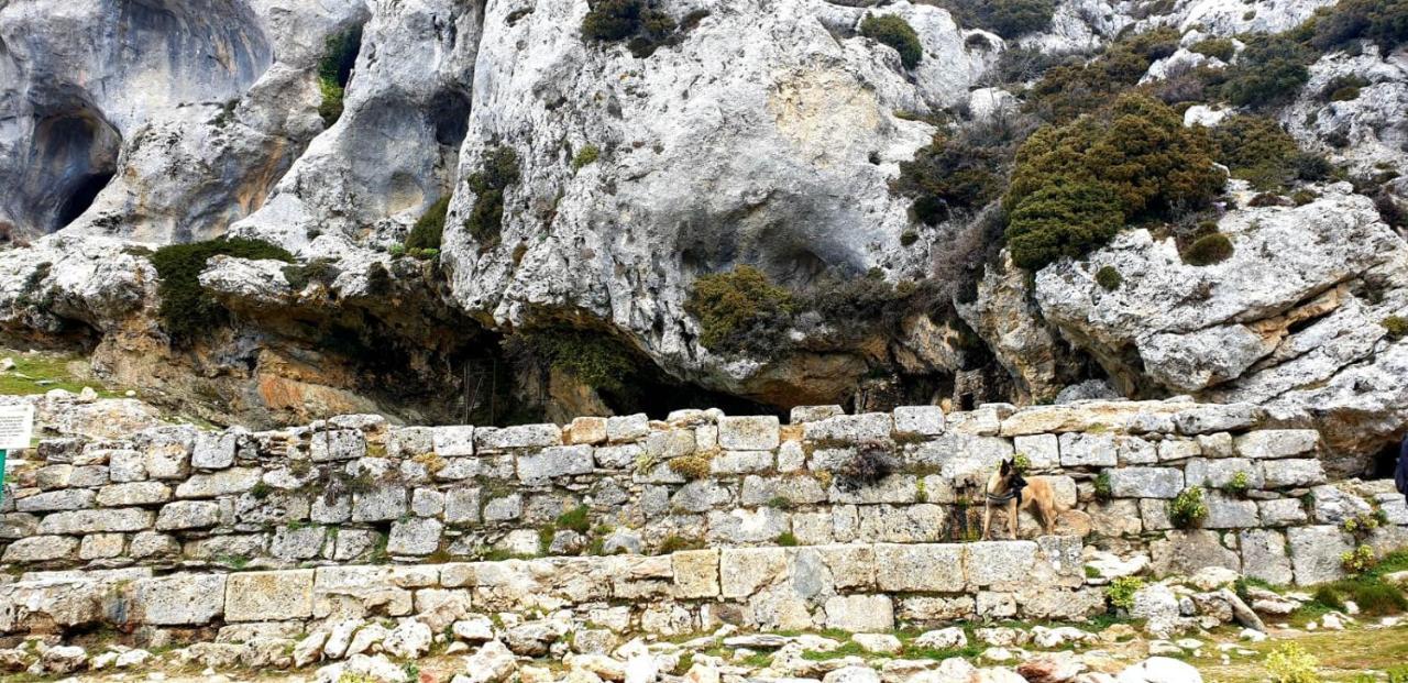 Hotel Sierra Hidalga Ronda Dış mekan fotoğraf
